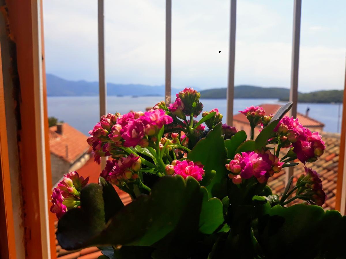 Apartment Jacobus Korcula Town